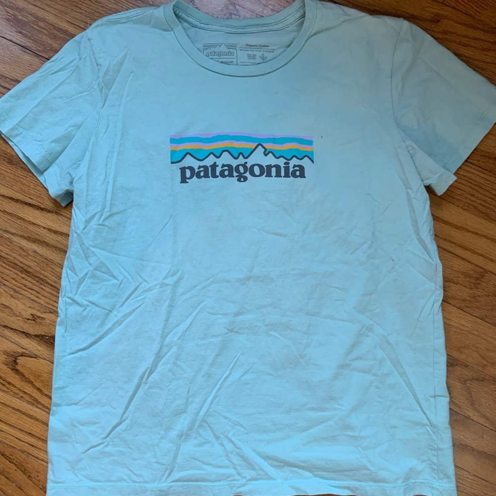 Patagonia tee